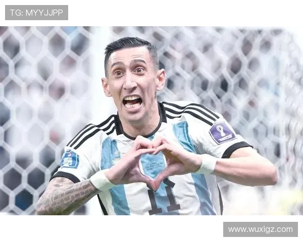 阿根廷足球明星卡片收藏解析，揭秘球员背后的精彩故事与荣誉荣耀
